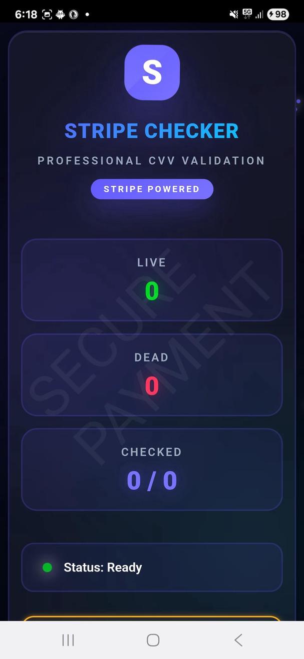 stripecvv screenshot 2