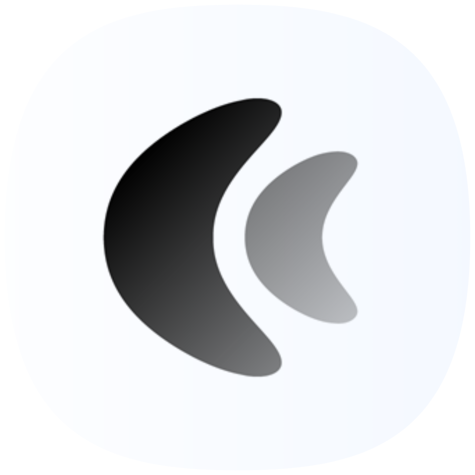 CHIC DARK icon