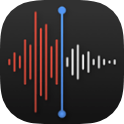 Voice Recorder icon