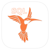 SQL Recipes icon