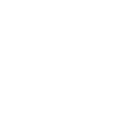 Vera Outline White icon