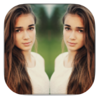 Mirror Image icon