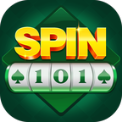 SPIN 101 icon