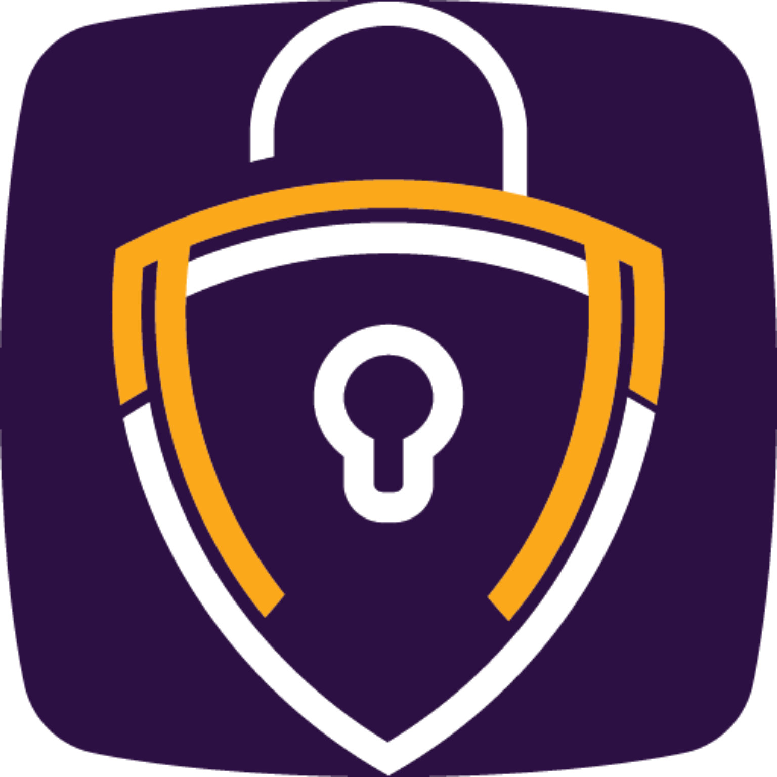 Ninja VPN icon