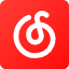 网易云音乐 icon