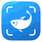PictureFish icon