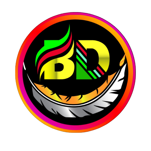 BD NET VPN icon
