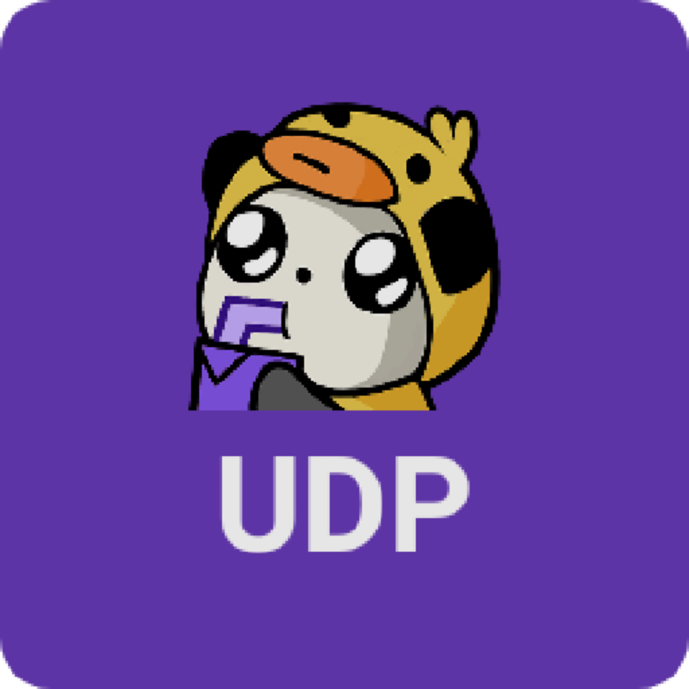AlgoUDP icon