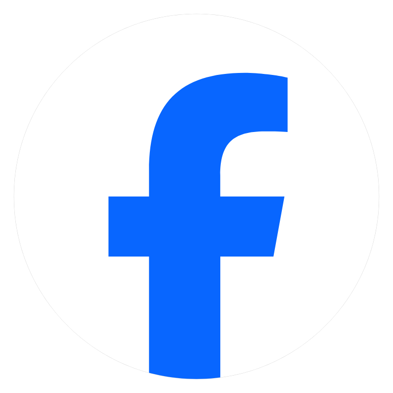 LiteX icon