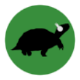 Tortoise icon