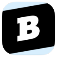 Brainly icon