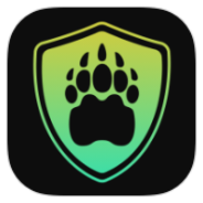 CyBear VPN icon
