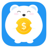 Budget icon