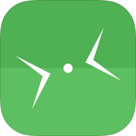 Crosshair icon