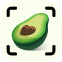 CalZen icon