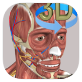 3D Anatomy icon