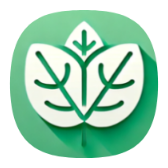 Mint icon