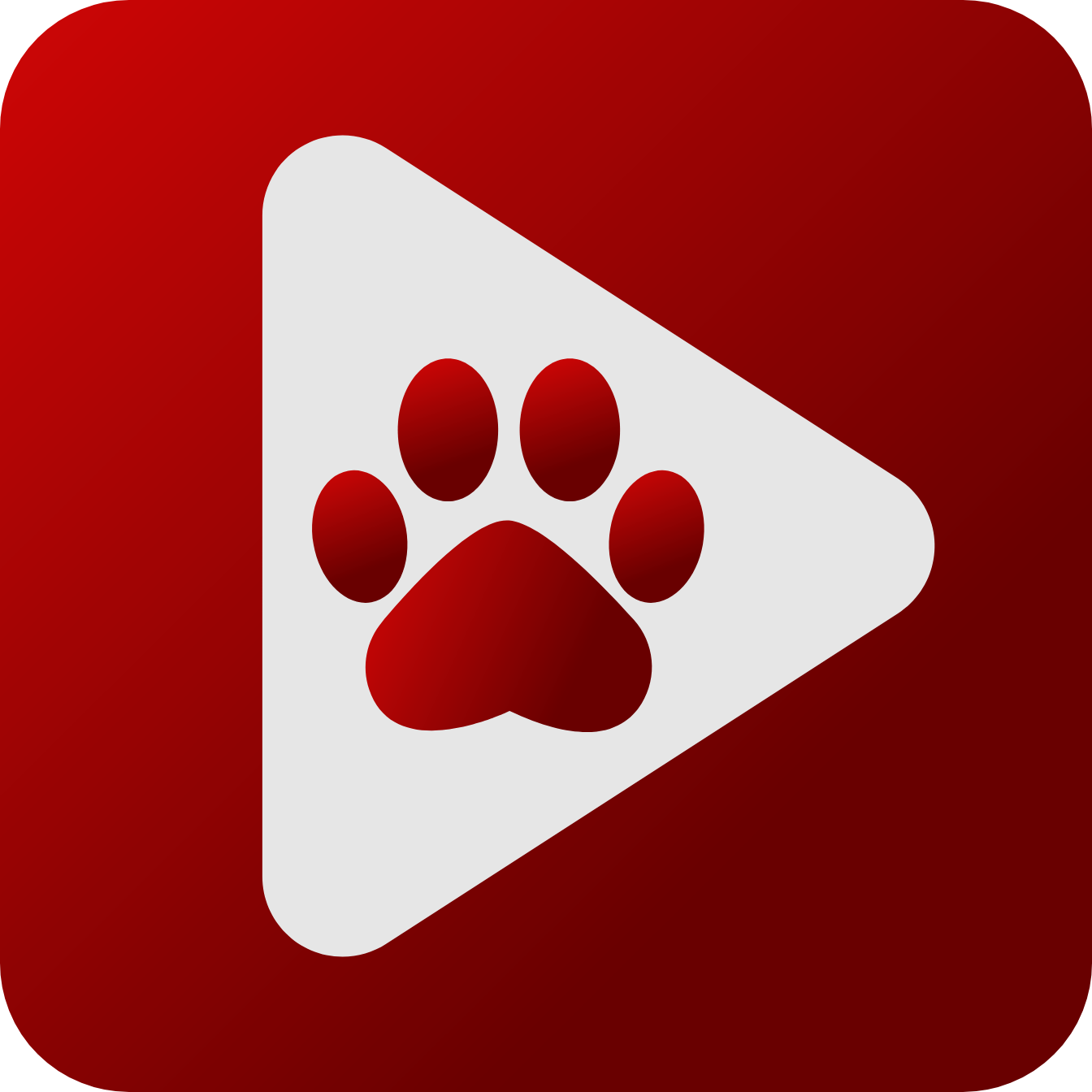 Bear Player icon