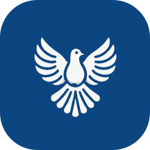 ByeByeDPI icon