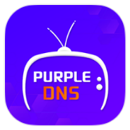 Purple DNS icon