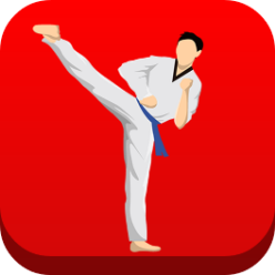 Taekwondo Workout icon