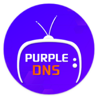 Purple DNS icon