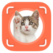 Cat Identifier icon