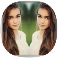 Mirror Image icon
