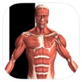 Visual Anatomy 2 icon