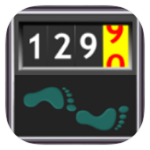 Walking Odometer Pro icon