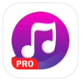 Music Player icon