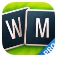 Word Master Pro icon
