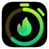 VGFIT icon
