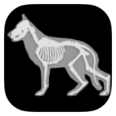 3D Dog Anatomy icon