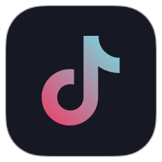 TikTok icon