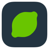 Lime icon