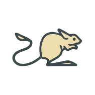 Jerboa icon