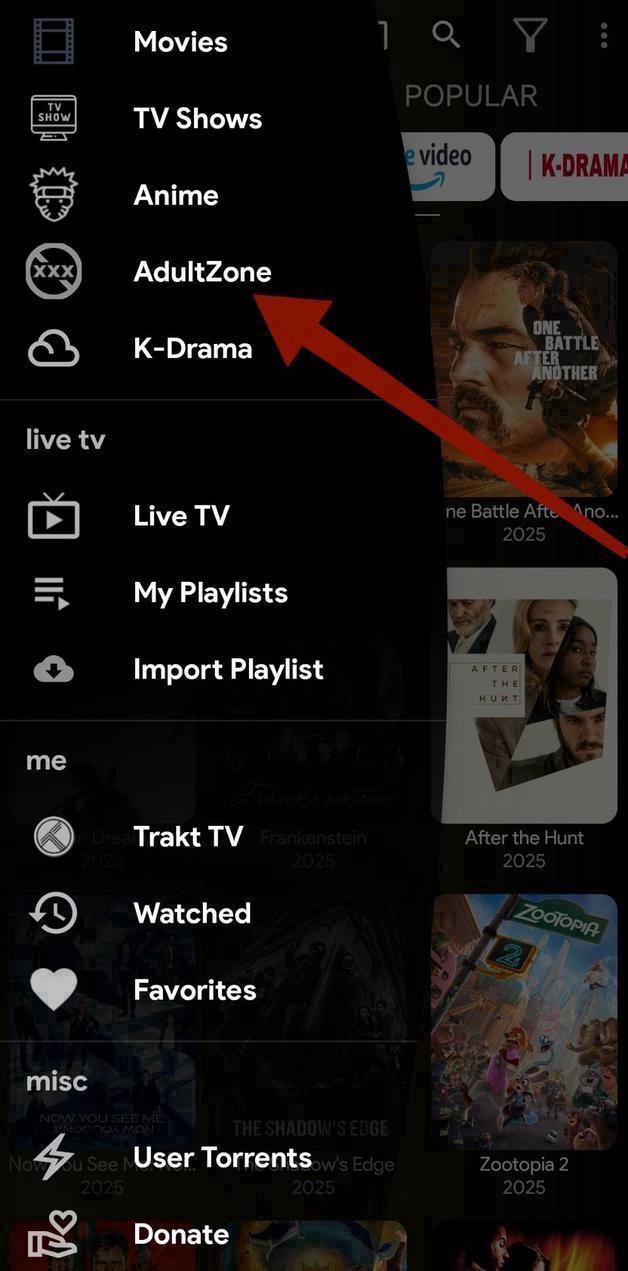 Netflix screenshot 4