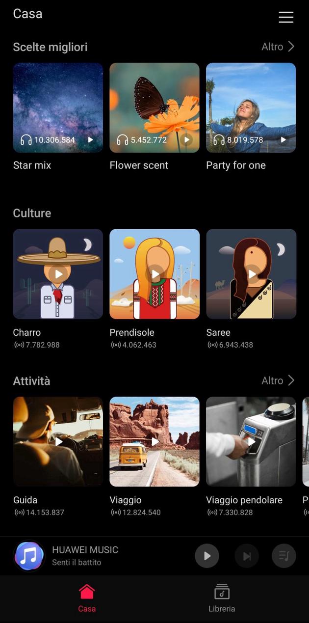 Music screenshot 1