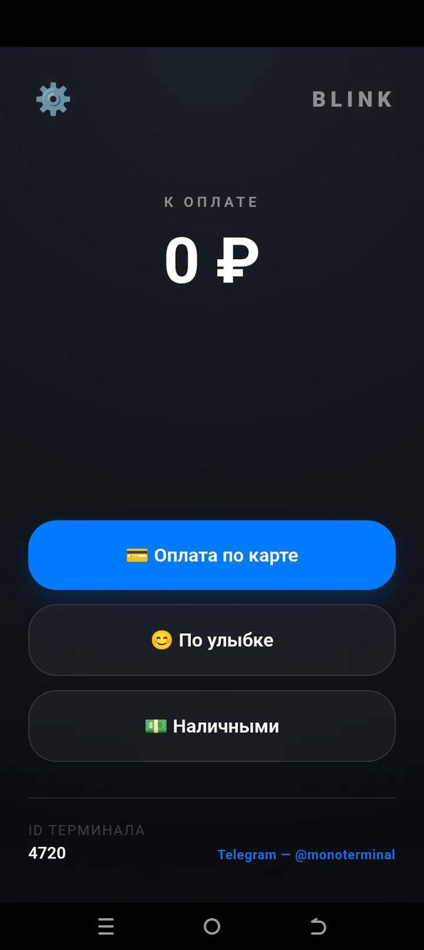 blink POS screenshot 7