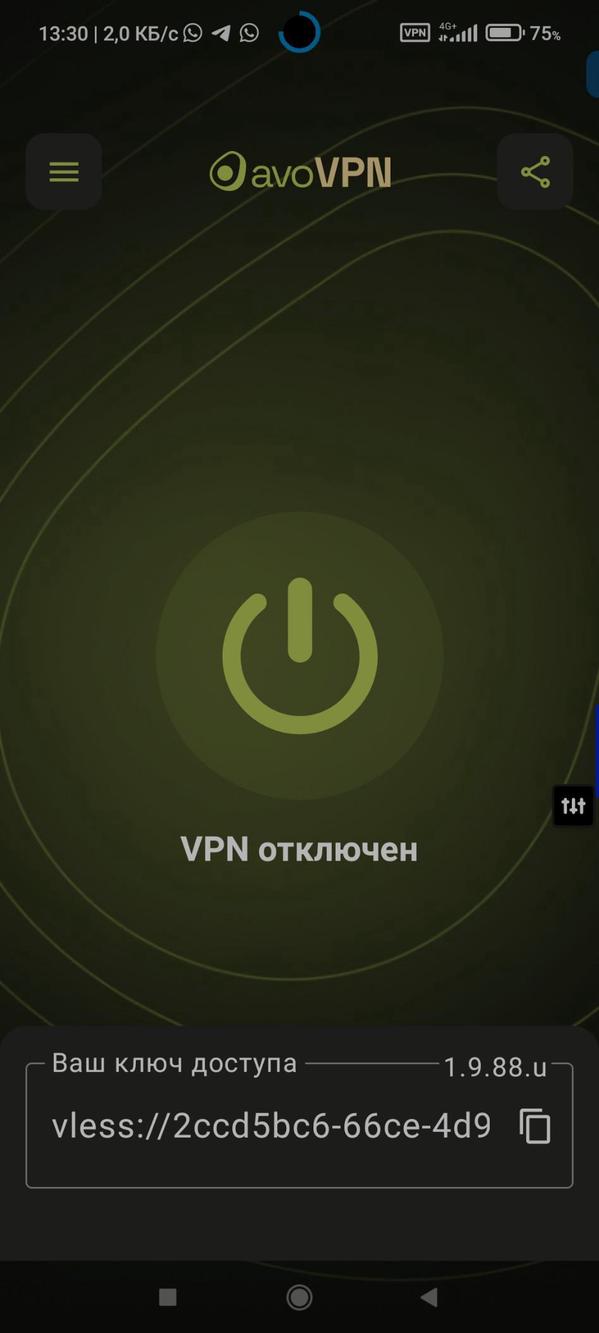 avoVPN screenshot 2