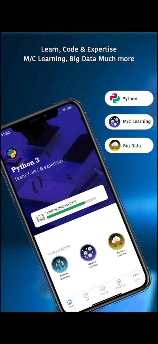 Python screenshot 1