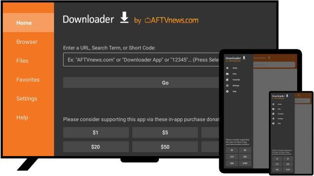 Downloader Lite screenshot 1