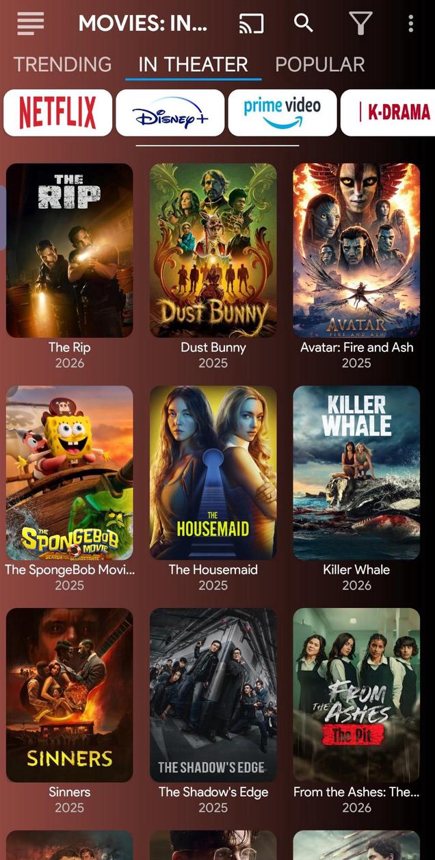 Netflix screenshot 10