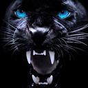 Чёрная Пантера avatar